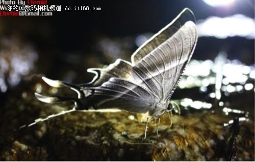 ܸ̽΢^硪ӛB֮